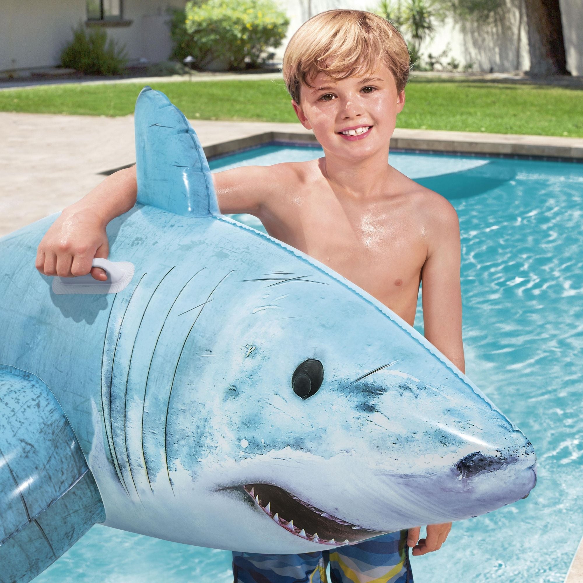 pool inflatable shark toy