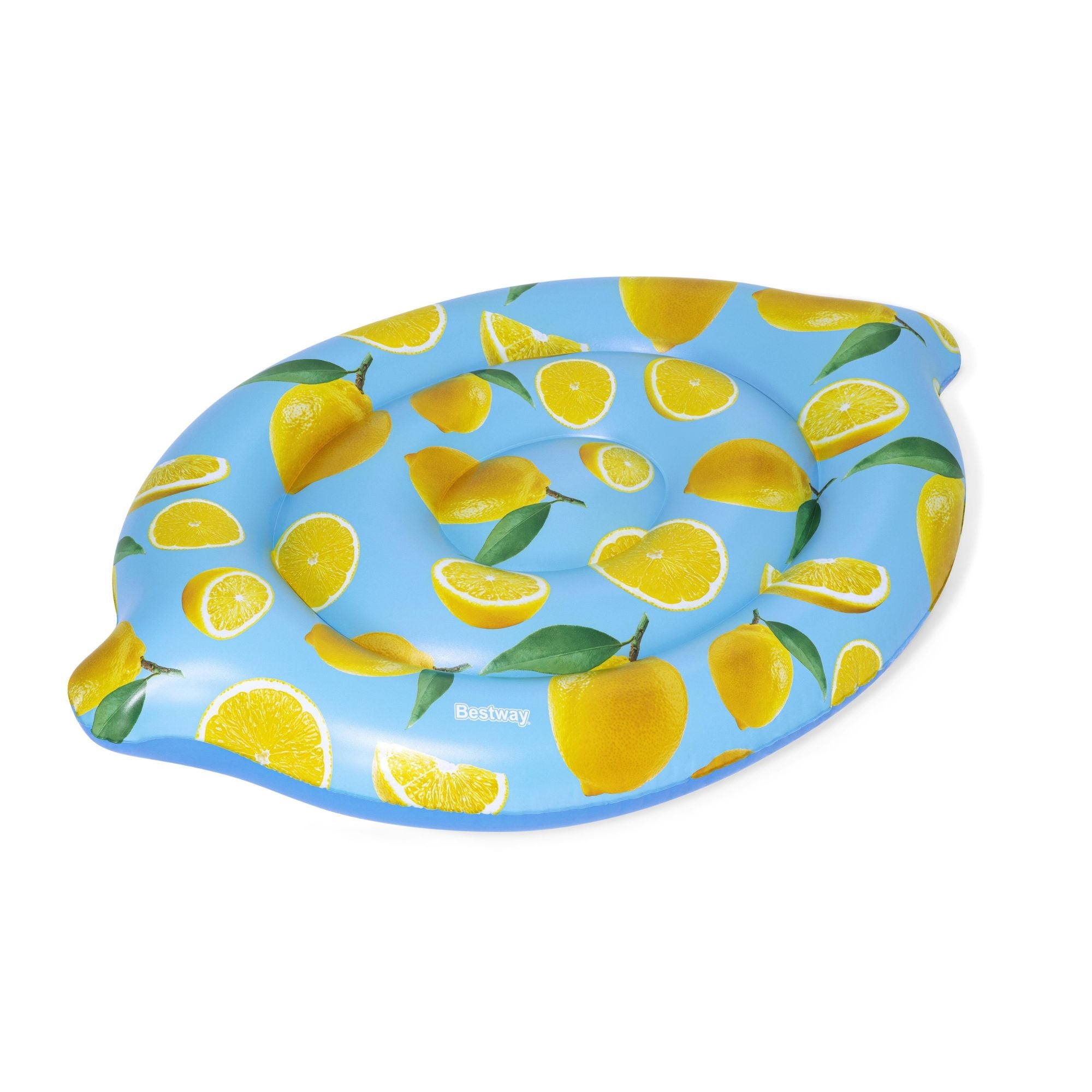 Pool Float