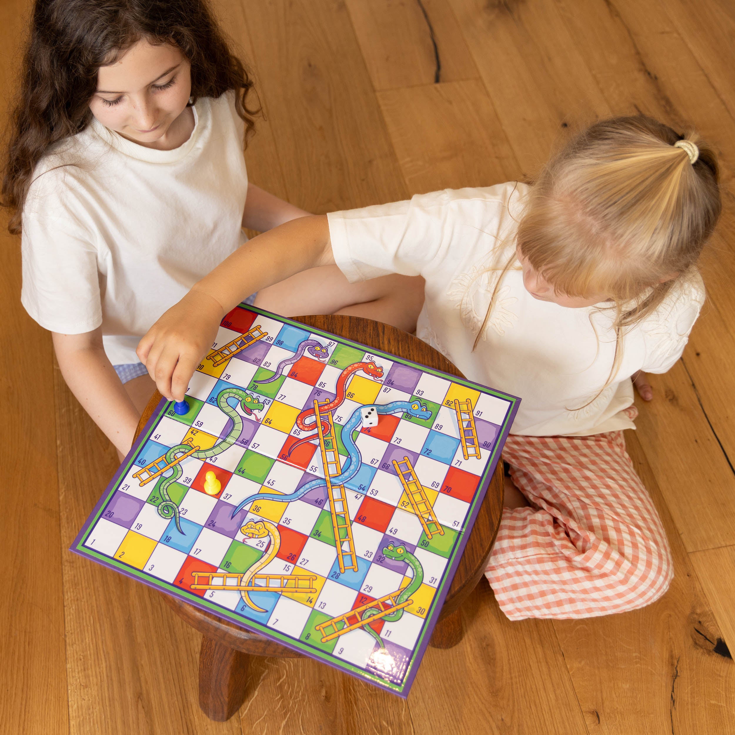 Snakes and Ladders board game