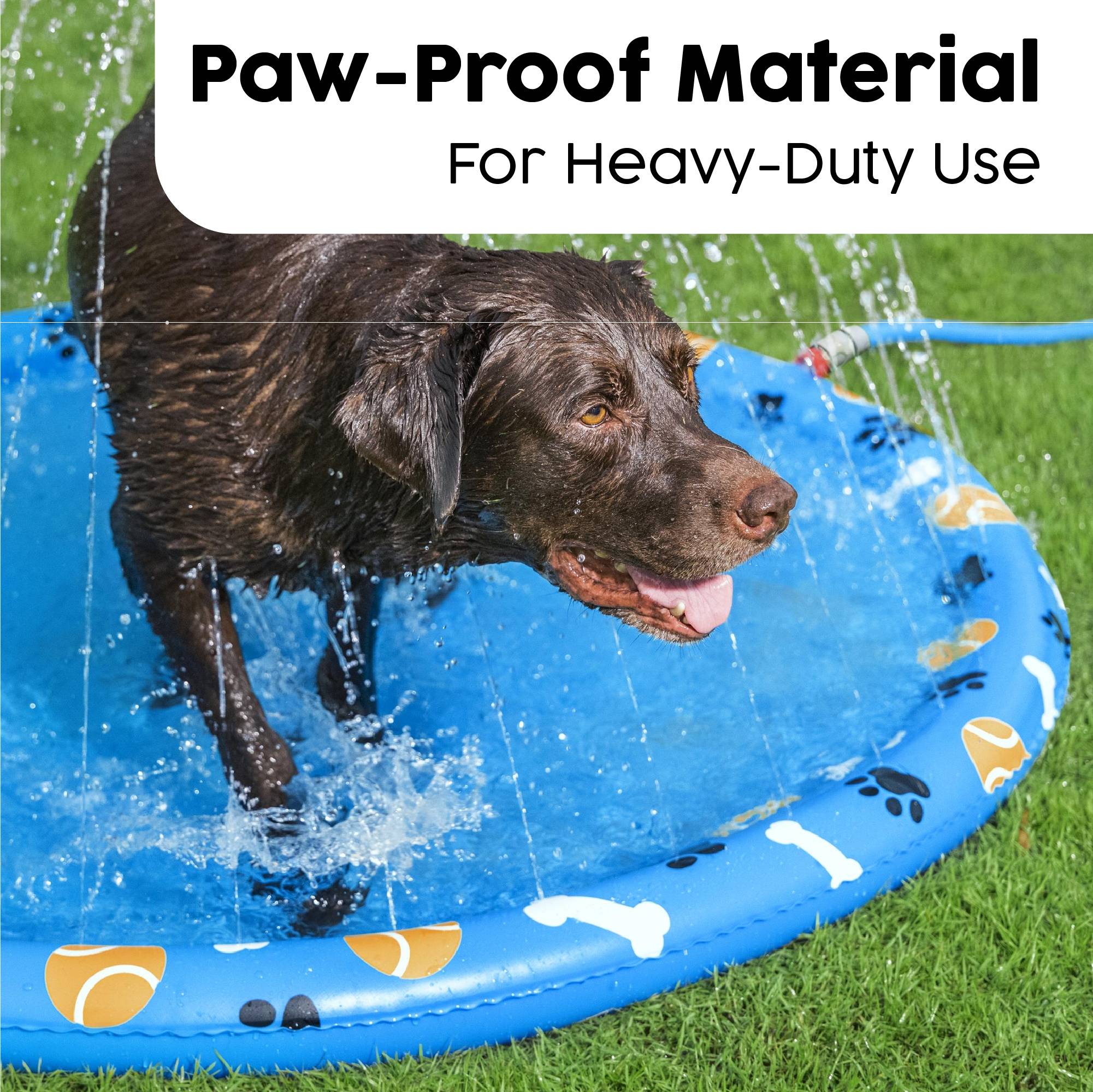 dog paddling pool