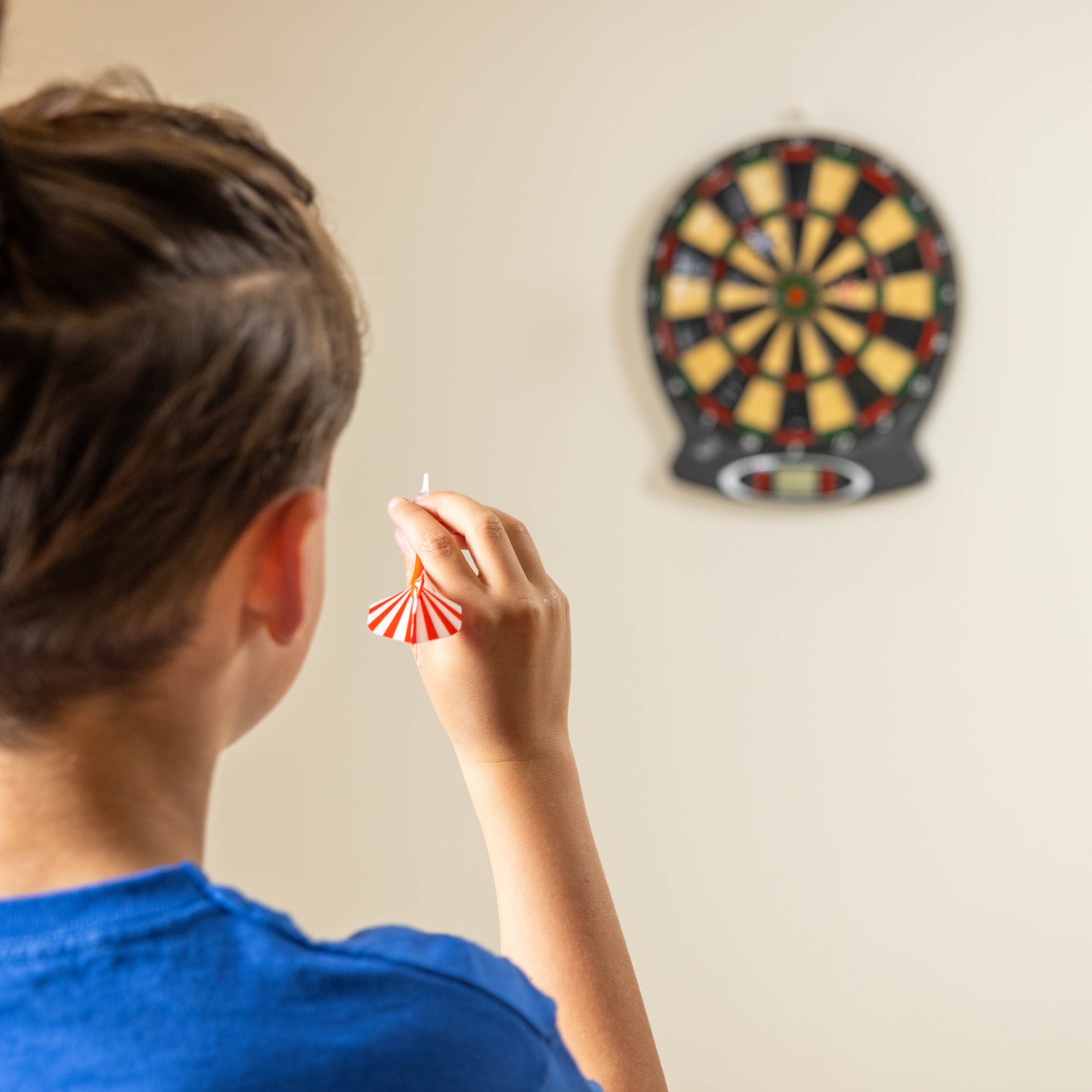 professional dart board
