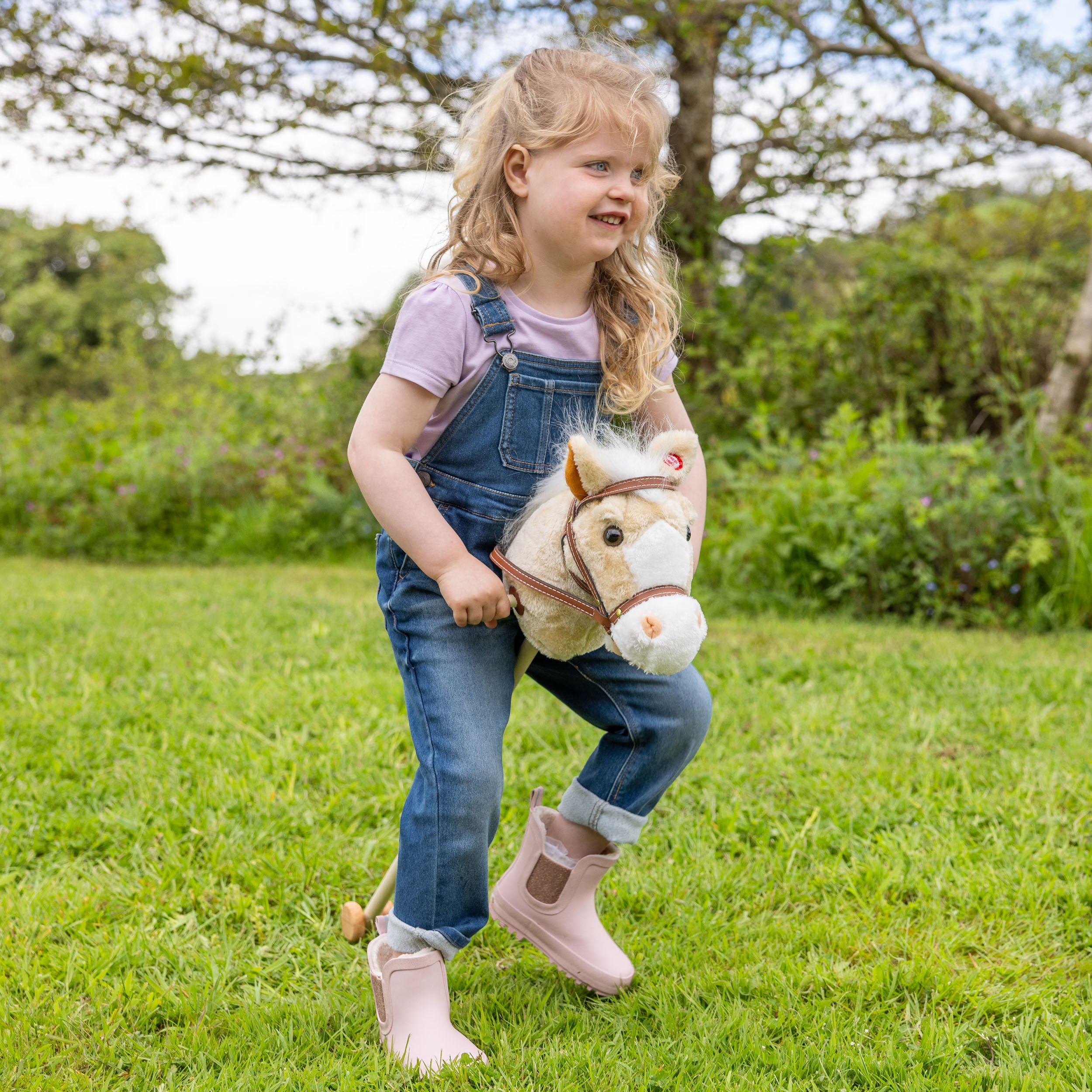 hobby horse toy