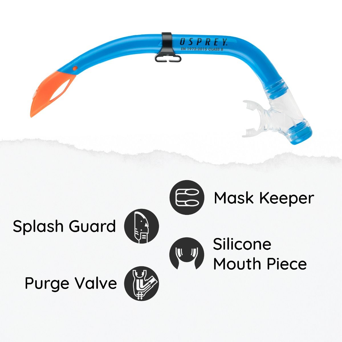 Full swim set for beginner snorkelers