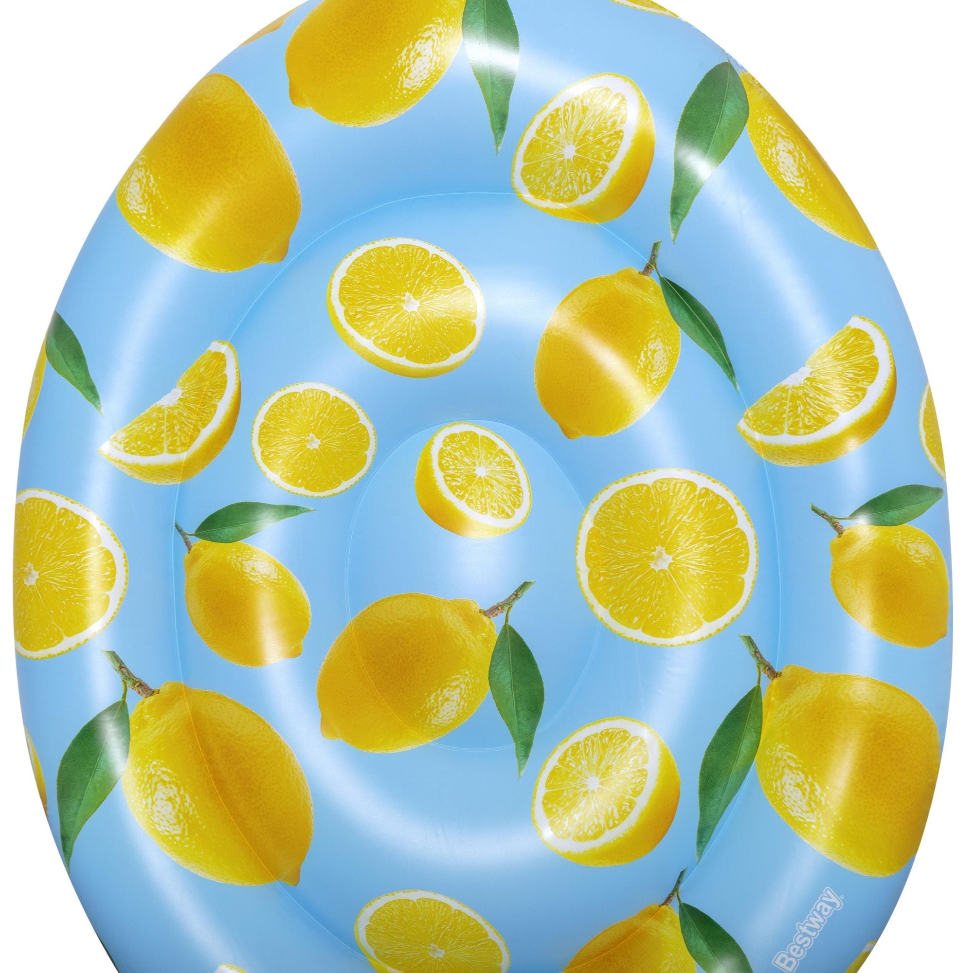 pool float for adults