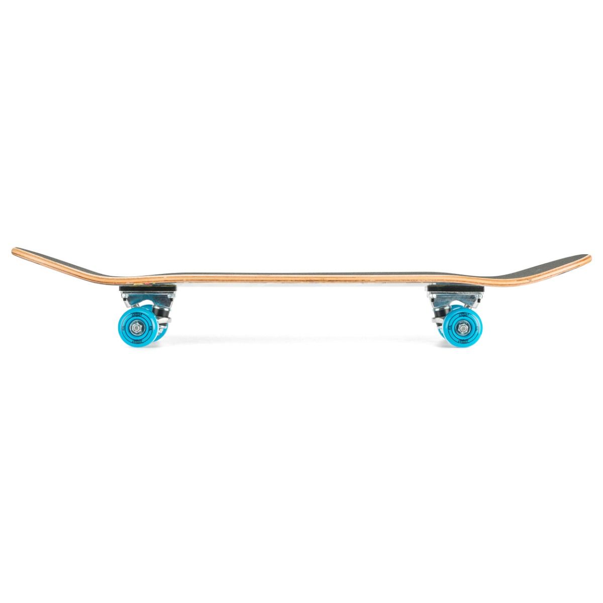 beginner skateboard