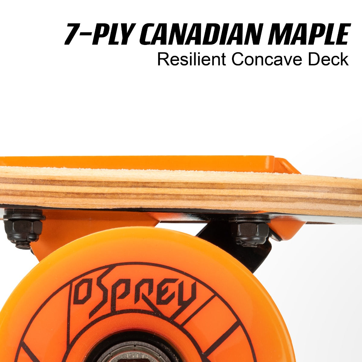 Twin tip skateboard for carving and sliding