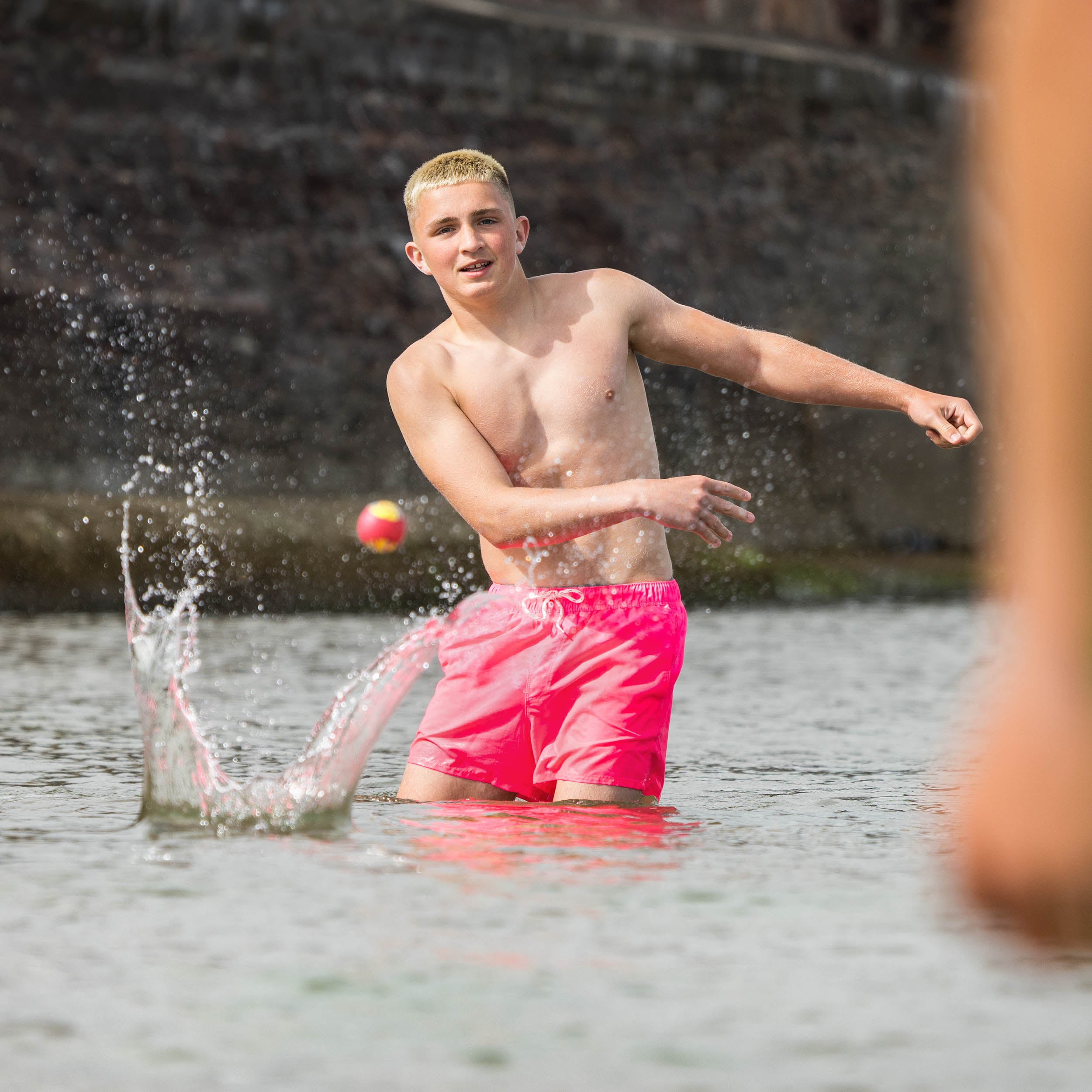 water skimmer ball