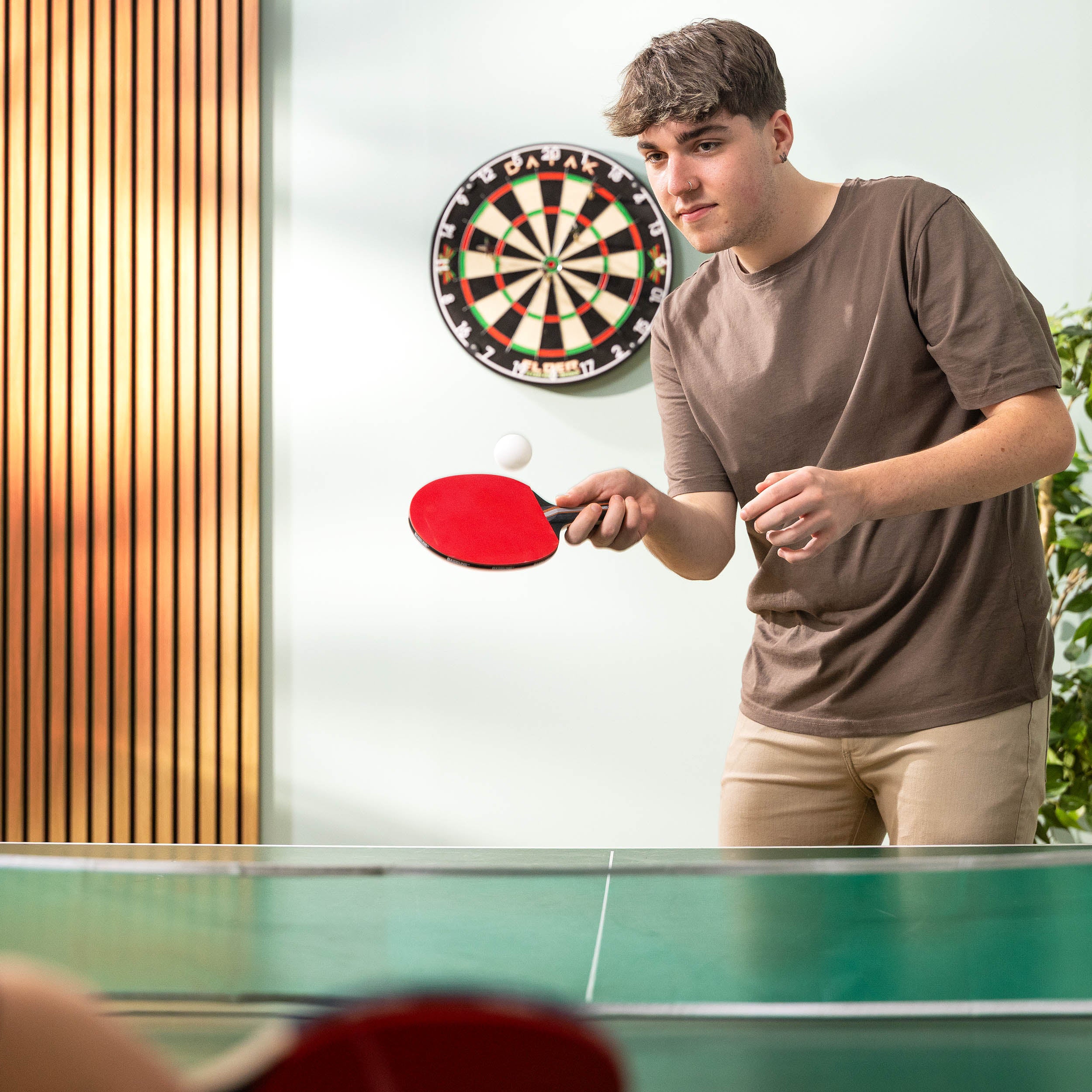 Table Tennis Complete Set