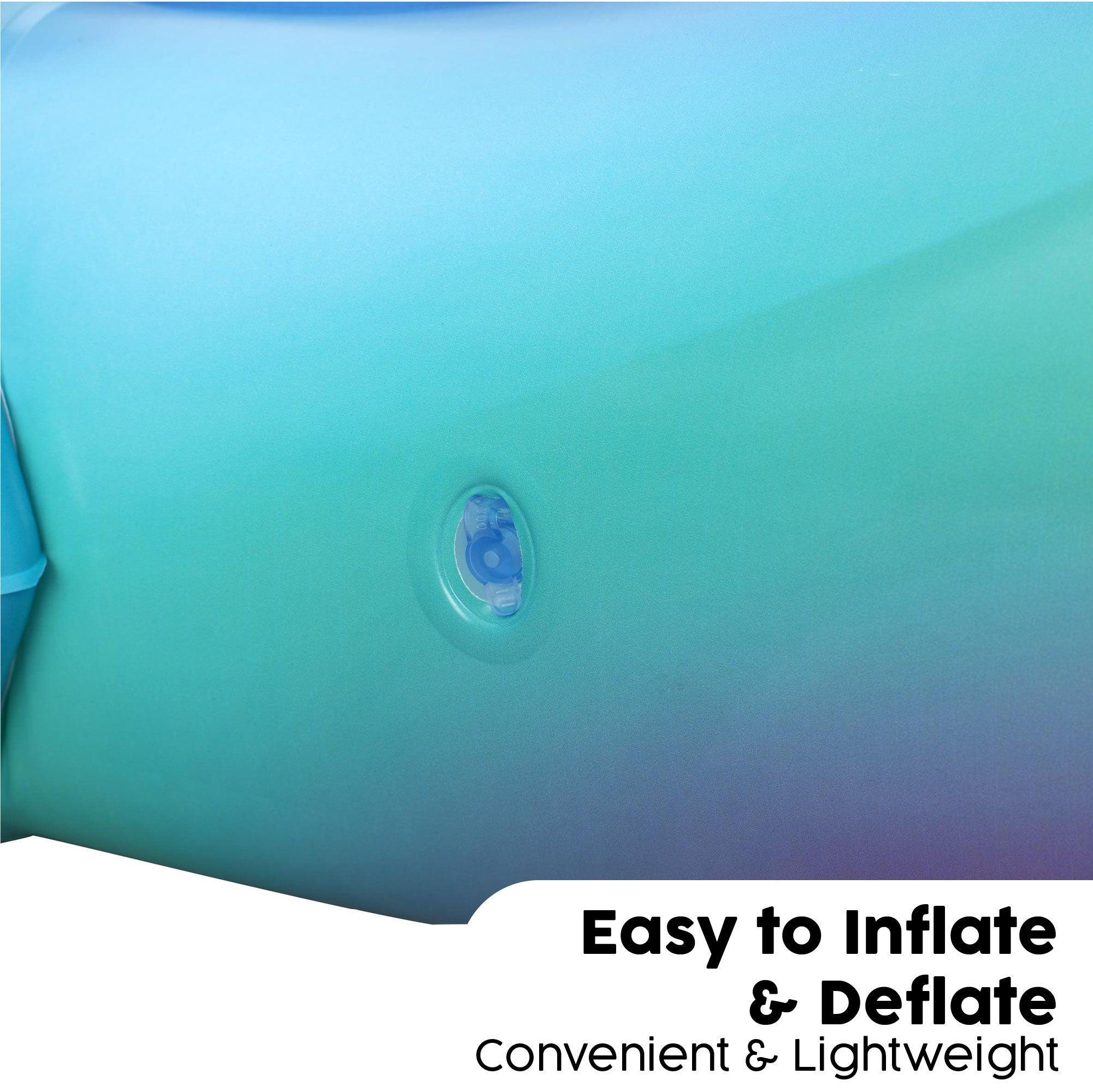 dolphin pool float