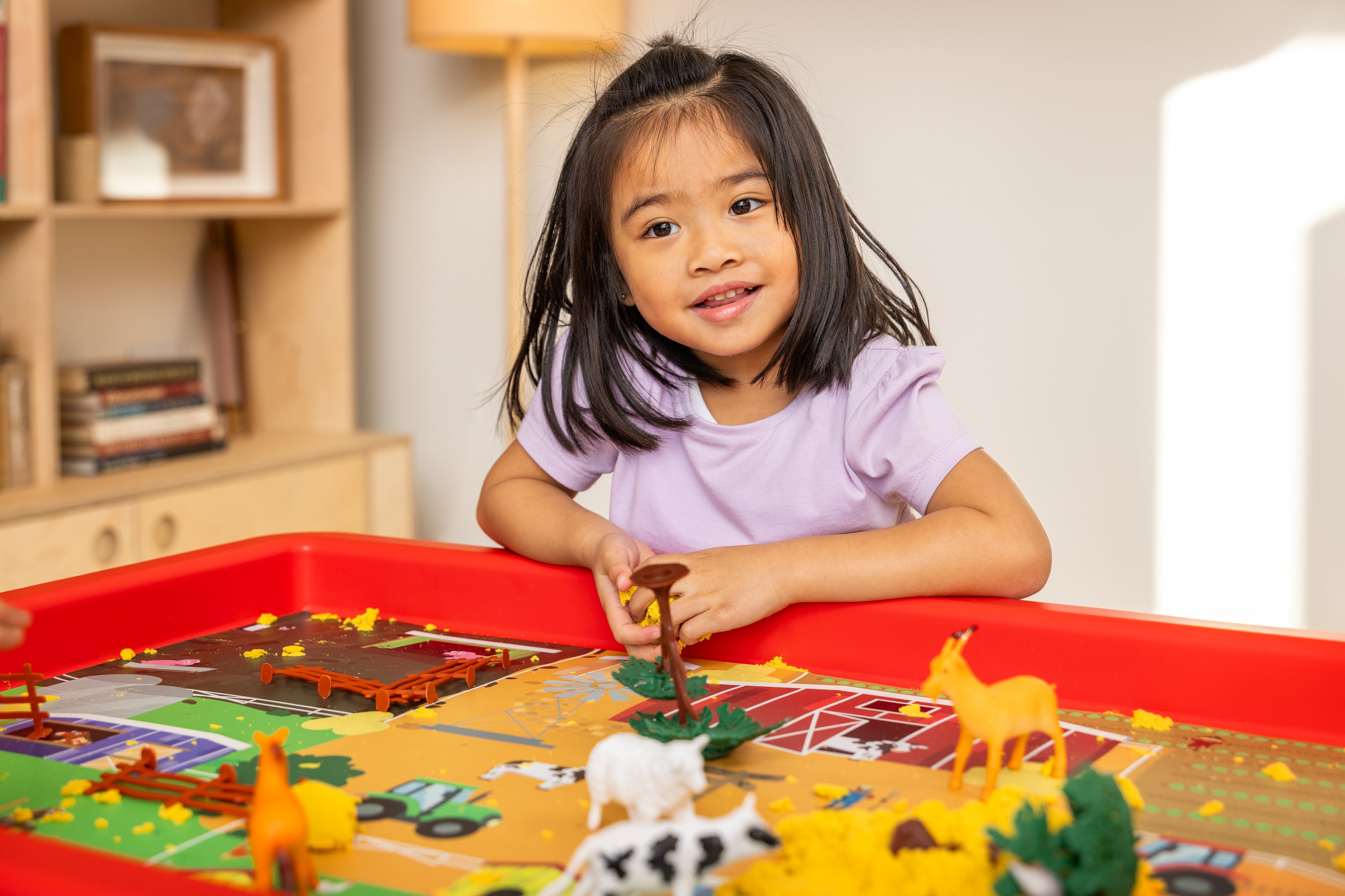 kids play tray with accessories 