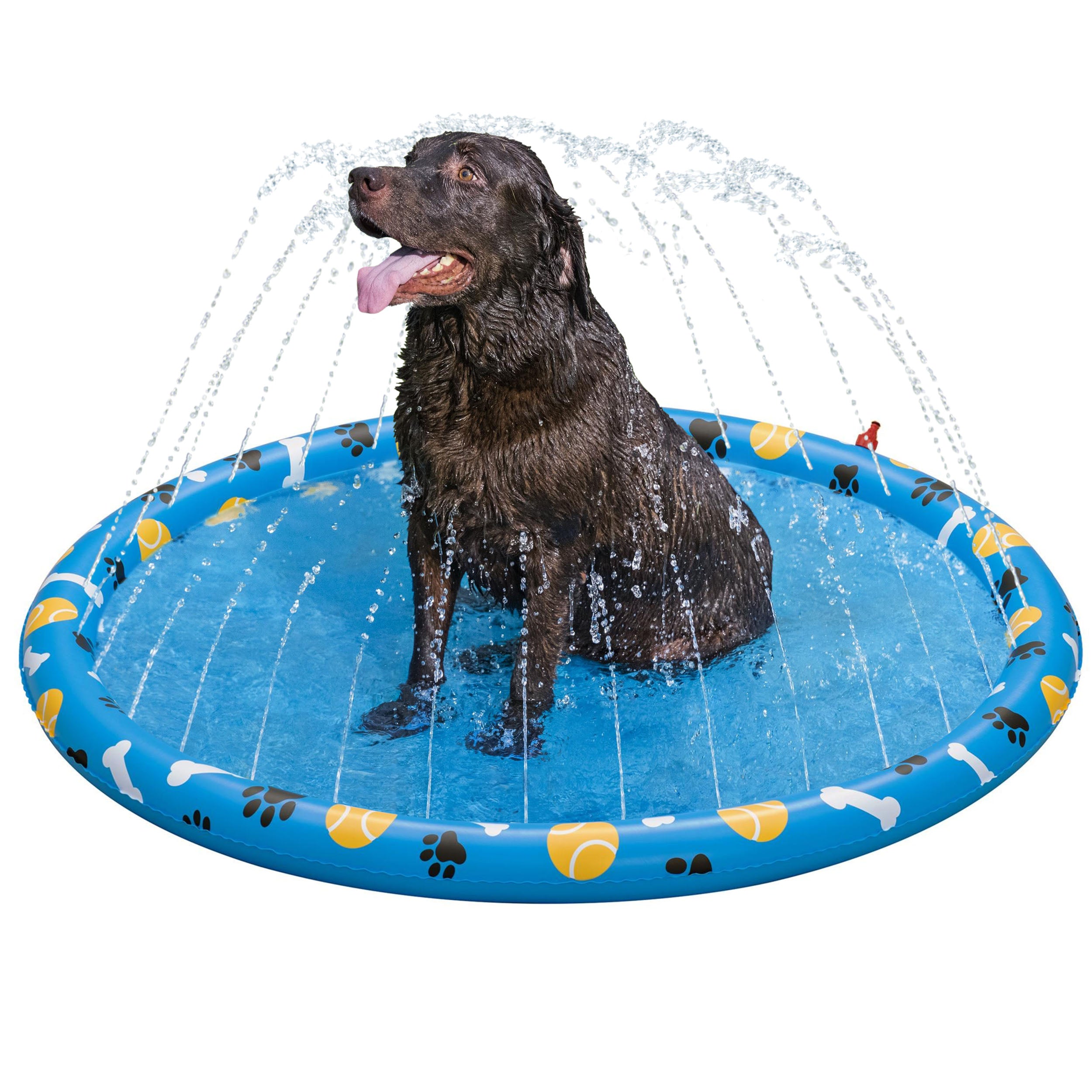 dog splash pad