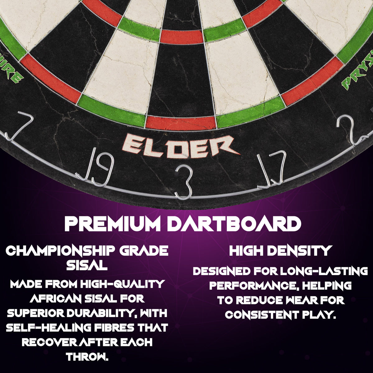 professional dartboard  