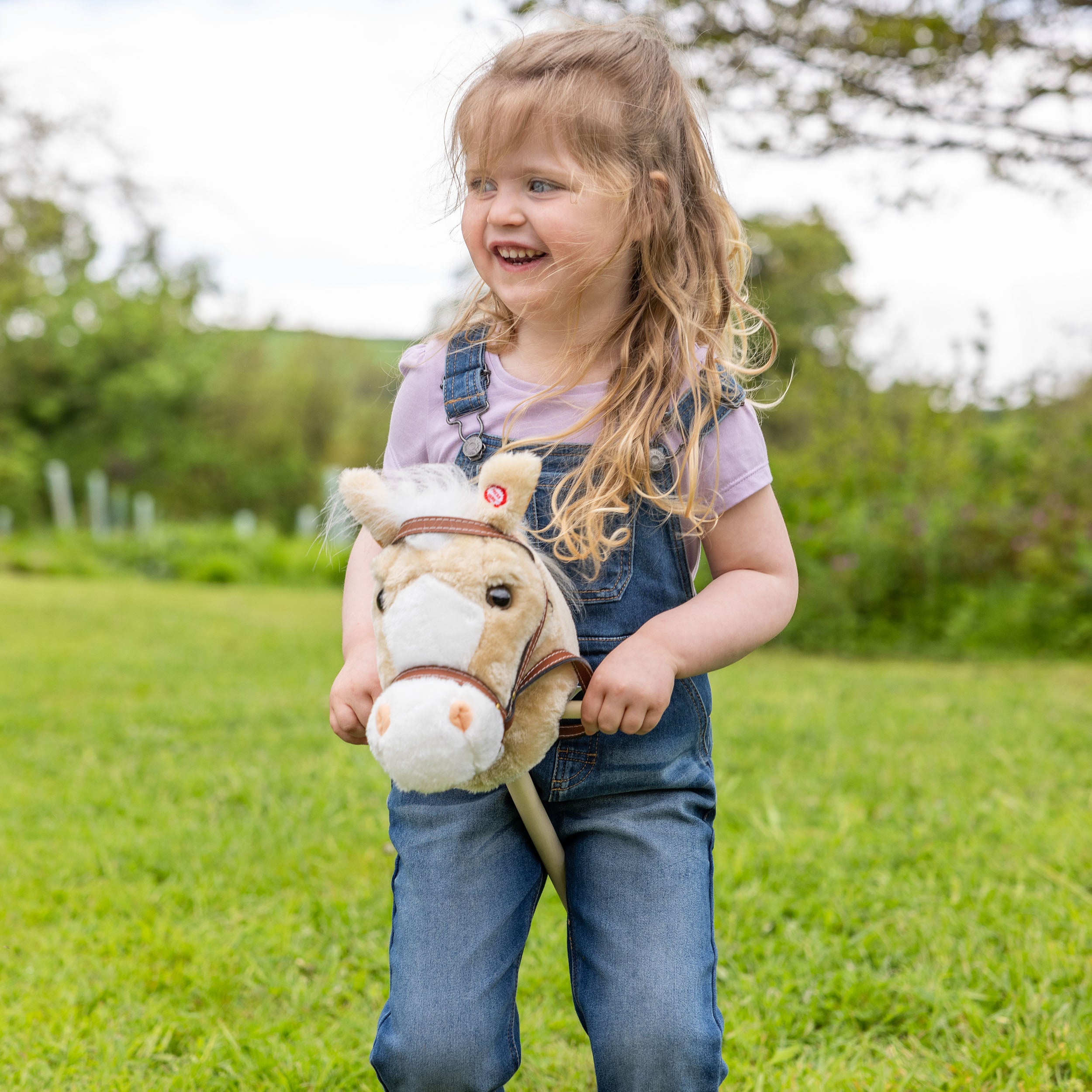 hobby horse toy
