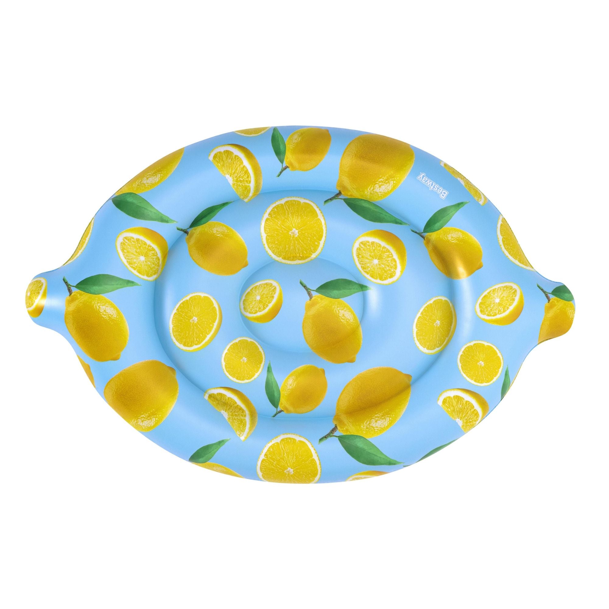  swimming pool float