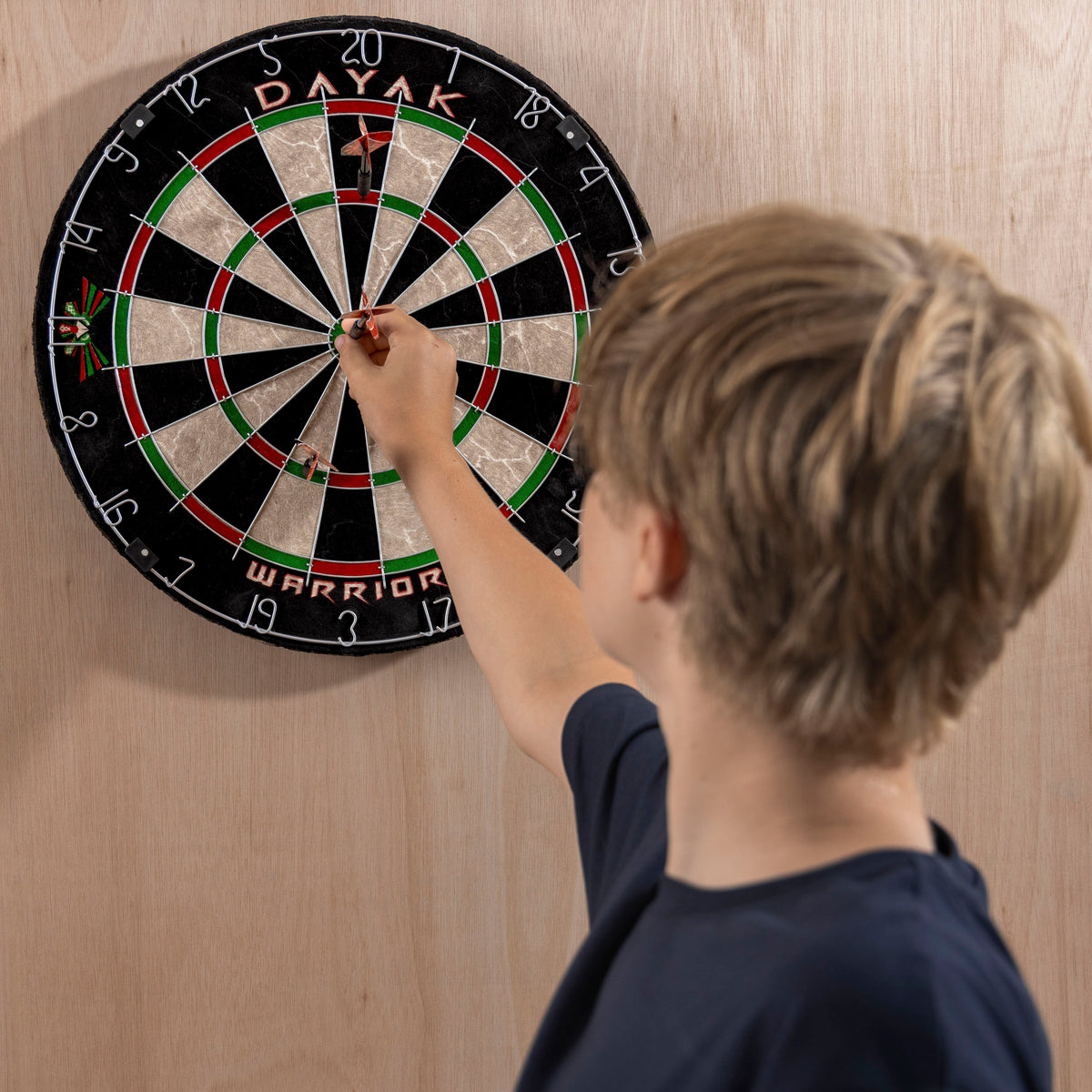 Bristle dartboard  